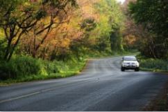 Car on road